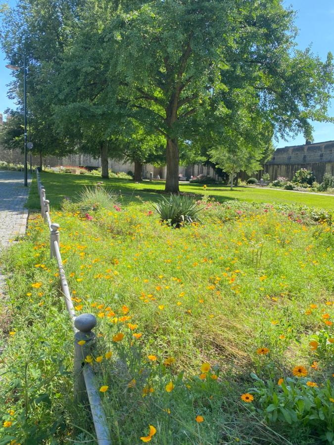 Villa Haeuschen Am Plenzer Ingelheim am Rhein Esterno foto