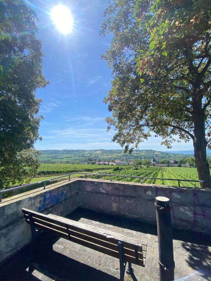 Villa Haeuschen Am Plenzer Ingelheim am Rhein Esterno foto