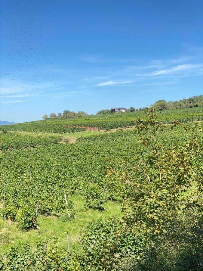 Villa Haeuschen Am Plenzer Ingelheim am Rhein Esterno foto