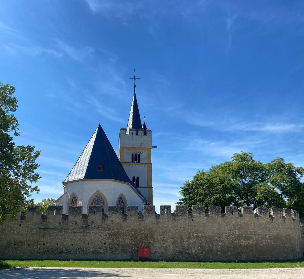 Villa Haeuschen Am Plenzer Ingelheim am Rhein Esterno foto