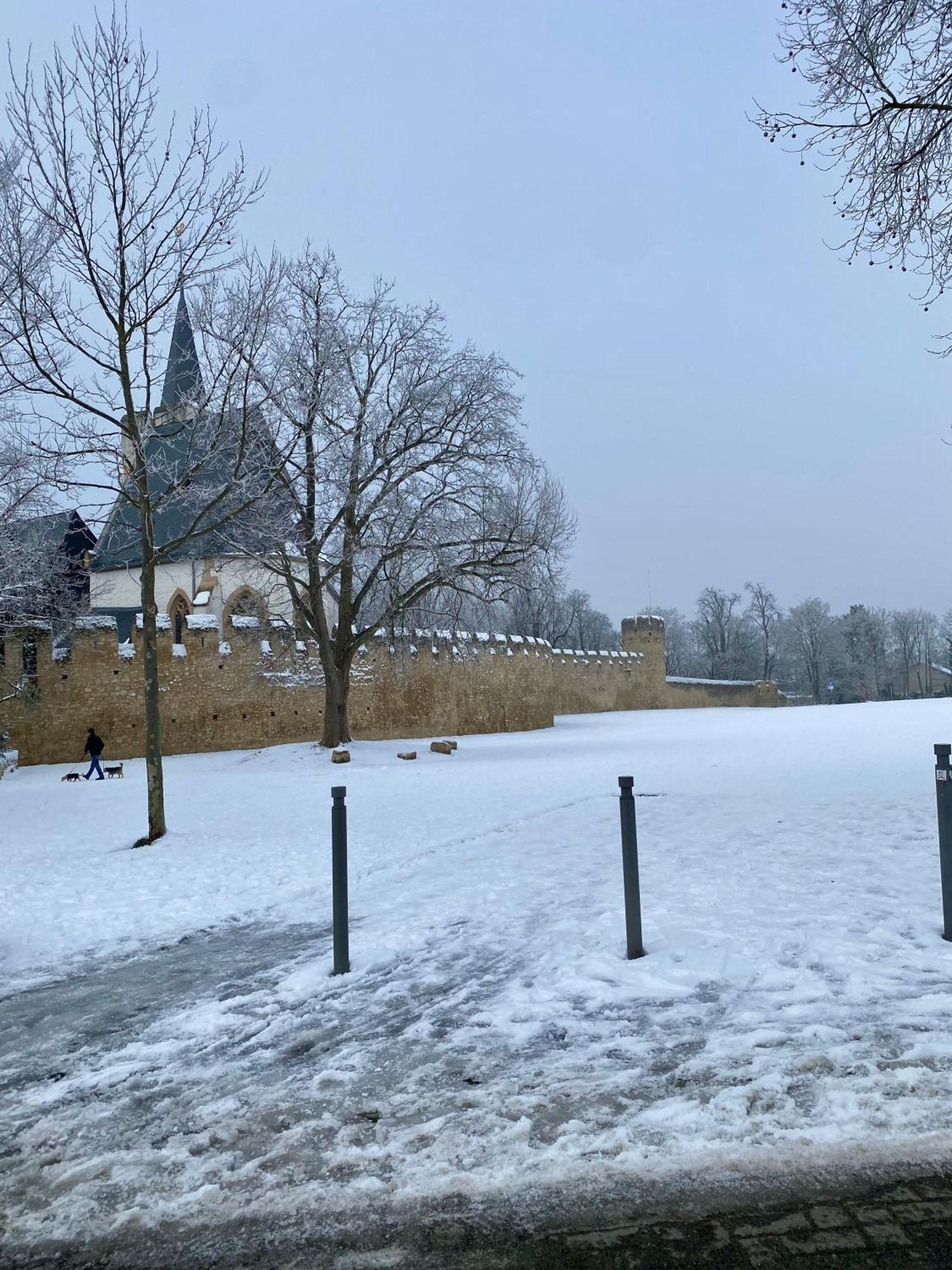 Villa Haeuschen Am Plenzer Ingelheim am Rhein Esterno foto